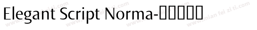 Elegant Script Norma字体转换